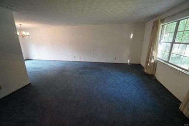 104 Lou Rosa Dr, Collinsville, IL 62234 - photo 5