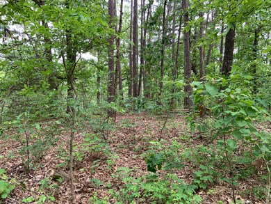 Tract 4, love the trees!