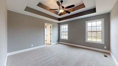 215 Philippi Rd, Wartrace, TN 37183 - photo 4