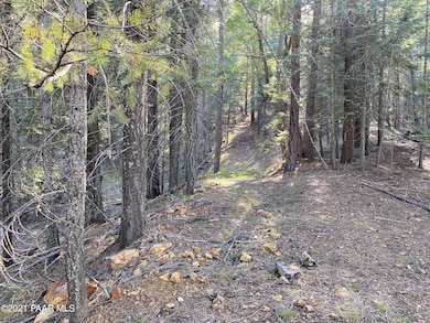 Forest Lot