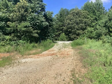 0 Swor Rd, Springville, TN 38256 - photo 2