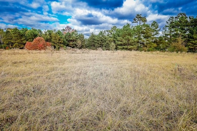 LOTS 1-7 Brenda Ln, Henderson, TX 75657 - photo 3