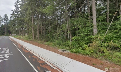 13311 200th St E, Graham, WA 98338 - photo 4