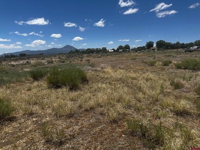 TBD S Chestnut St, Cortez, CO 81321 - photo 6