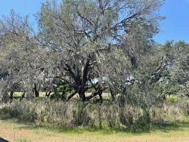 35524 Eastbrook Ave, Zephyrhills, FL 33541 - photo 7