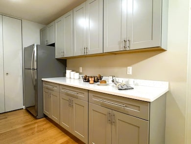 Quartz Counters & LOTS of Storage!