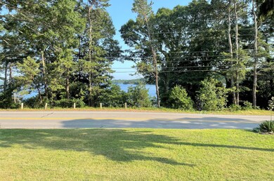 View to lake
