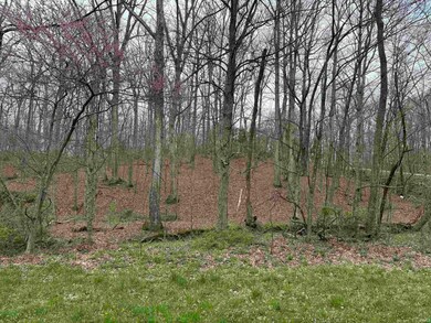 0 S Oak Forrest Dr, Cass Township, IN 47542 - photo 6