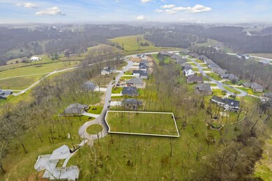 403 W Declan, Nixa, MO 65714 - photo 2