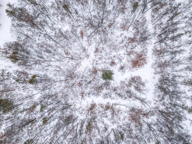 V/L W Bristol St, Webber Township, MI 49304 - photo 5