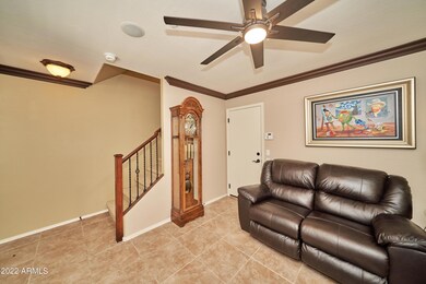 Family Room Down