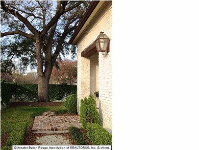 Beautiful, large oak in the front yard