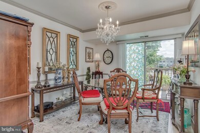 419 Terry Ct, Frederick, MD 21701 - photo 4