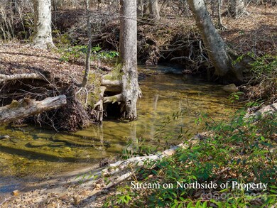 Tract 1 Holbert Cove Rd, Mill Spring, NC 28756 - photo 4