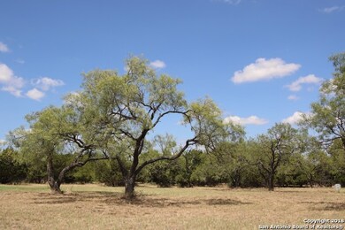 L1-2 Old Vine, Fredericksburg, TX 78624 - photo 6