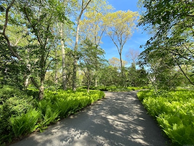 109 Elys Ferry Rd, Old Lyme, CT 06371 - photo 3