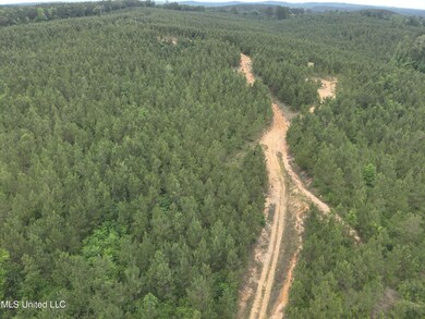 DJI_20230524154317_0001_V