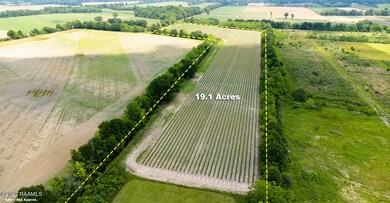 6593 Andrus Rd Aerials-2