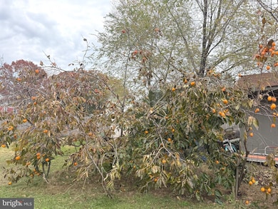 21660 N Essex Dr, Lexington Park, MD 20653 - photo 3