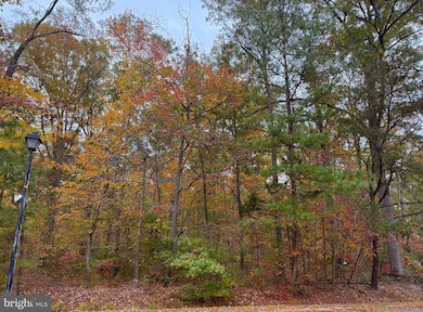 5162 Cedarlea Dr, West River, MD 20778 - photo 7