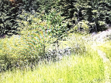 2721 158th Ave SW, Lakebay, WA 98349 - photo 3