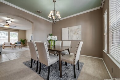 24011 Buckthorn Pass, San Antonio, TX 78261 - photo 6
