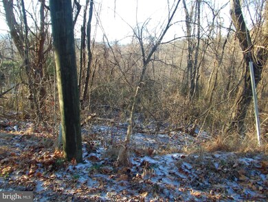 0 Cardinal Dr unit VAWR139136, Front Royal, VA 22630 - photo 4