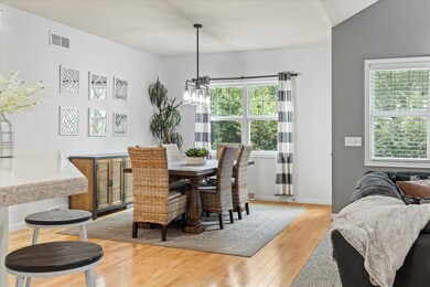 5213 Blazingstar Ln, Fitchburg, WI 53711 - photo 6