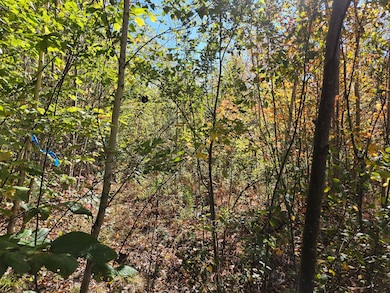 059-007 Soper's Mill Rd, Auburn, ME 04210 - photo 2