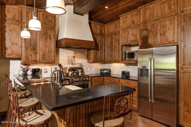 718 S Mill St unit 4, Aspen, CO 81611 - photo 5