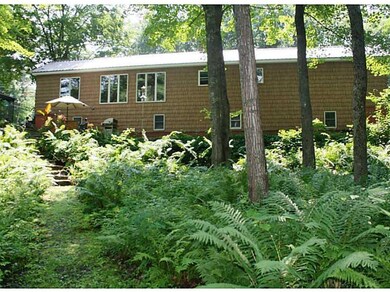 Back Yard.