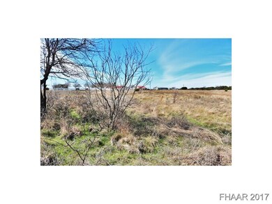 2958 Grimes Crossing Rd, Copperas Cove, TX 76522 - photo 3