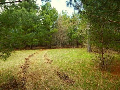 0 Howard Rd, Chandler Township, MI 49713 - photo 5