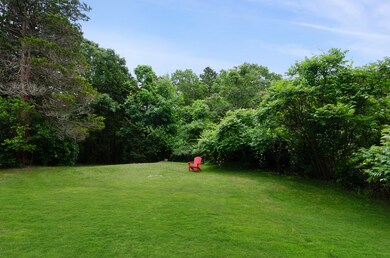 376 rear yard