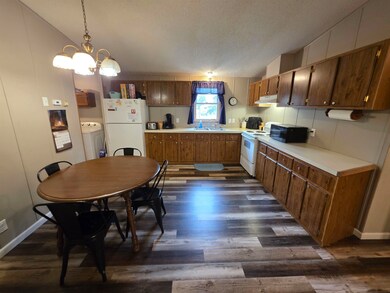 205 Maple St, Snyder, NE 68664 - photo 6