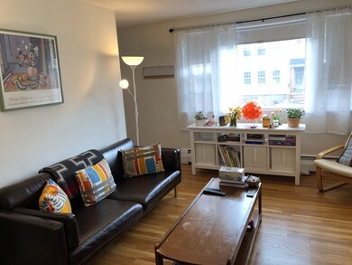 10 Hazel St, Cambridge, MA 02138 - photo 3