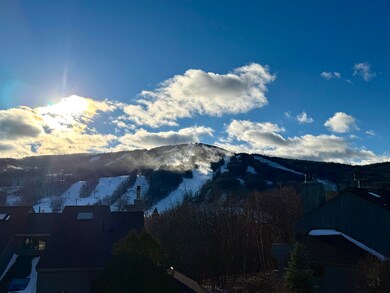 337 Handle (Snow Tree Pines K) Rd unit Pines K, Dover, VT 05356 - photo 2