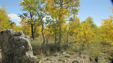 1044 Buffalo Ridge Rd, Como, CO 80432 - photo 3