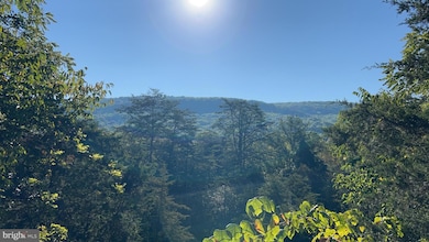 174 Mount Laurel Cir, Lost City, WV 26810 - photo 2