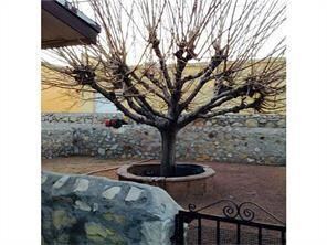 1905 Karen Sue Place unit B, El Paso, TX 79936 - photo 4