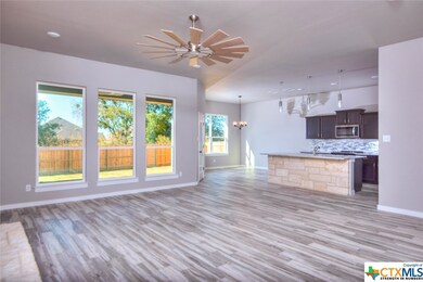 7109 Diamond Dove Dr, Temple, TX 76502 - photo 7