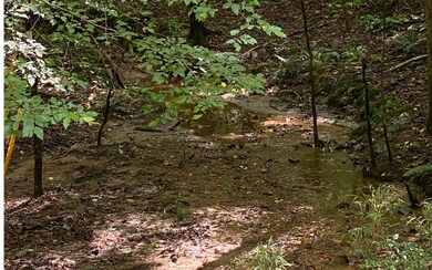 Additional View