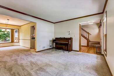 1611 Conan Doyle Rd, Naperville, IL 60564 - photo 5