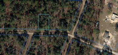 tbd NE 11th Place, Williston, FL 32696 - photo 3