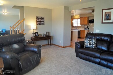 1009 E 18th St S, Newton, IA 50208 - photo 7