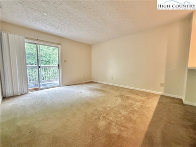 800 Meadowview Dr unit 17, Boone, NC 28607 - photo 7