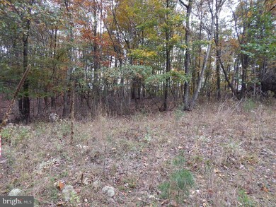 29A Holly Hill Ln, Berkeley Springs, WV 25411 - photo 4