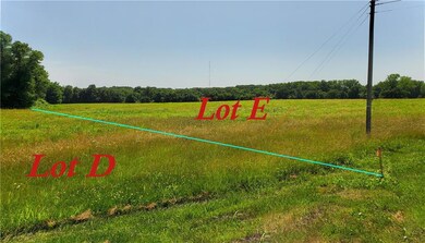 TBD Lot E E 269th St, Freeman, MO 64746 - photo 5