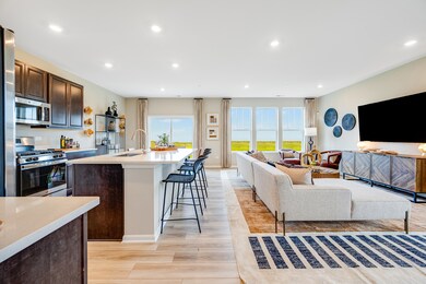 813 Lindsay Ln, West Dundee, IL 60118 - photo 3