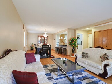 791 N Adele St, Elmhurst, IL 60126 - photo 4